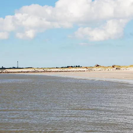 Prázdninový dům Ved Heksebjerg Vi Blåvand